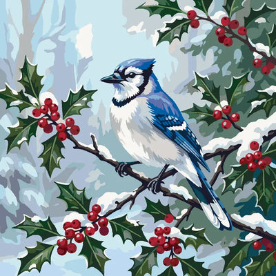 Numeromaalaus Blue Jay on Branch