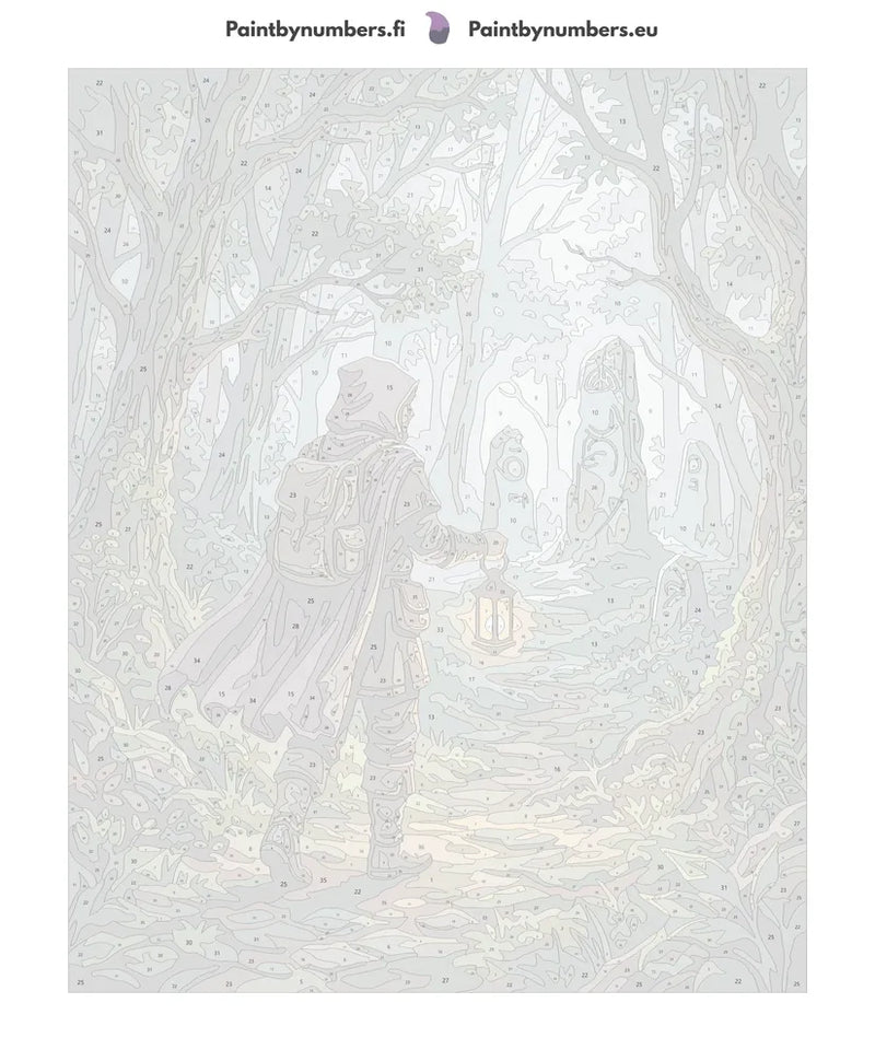Numeroitu kangas - Hooded Traveler in Forest 40x50cm