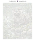 Thumbnail for Paint by numbers canvas - Otter by Riverbank