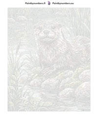 Thumbnail for Paint by numbers canvas - Otter by Riverbank