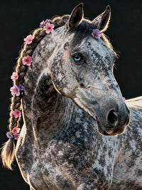 Thumbnail for Timanttimaalaus Floral Mane
