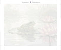 Thumbnail for Paint by numbers canvas - Frog on Lily Pad