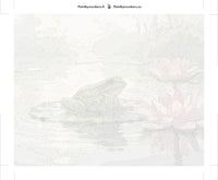 Thumbnail for Paint by numbers canvas - Frog on Lily Pad