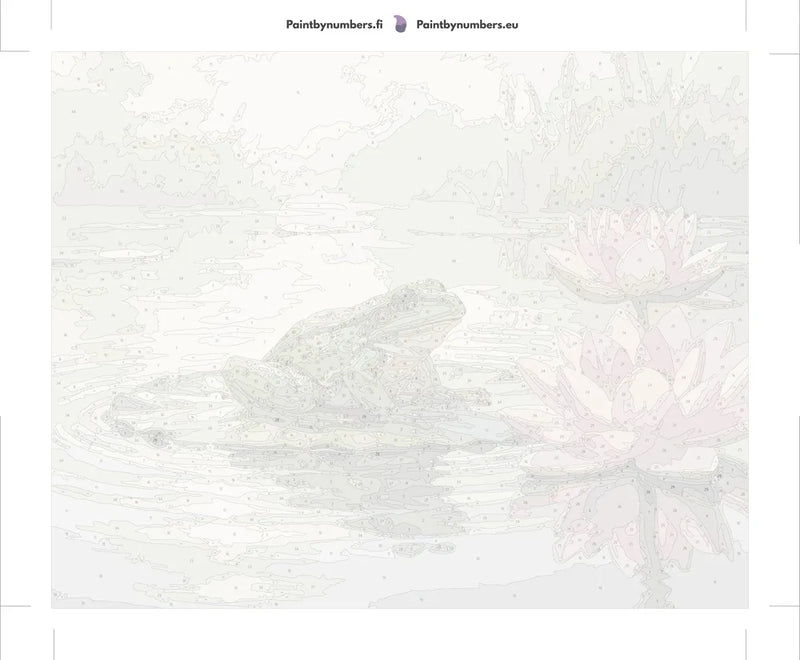 Paint by numbers canvas - Frog on Lily Pad