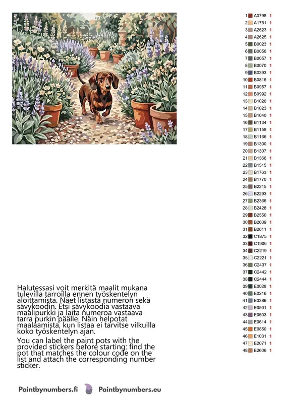 Värikartta ja ohjeet - Dachshund in Flower Garden 50x40cm