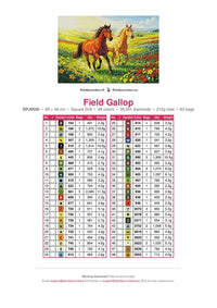 Thumbnail for Field Gallop timanttimaalauksen värikartta – 48 DMC-väriä
