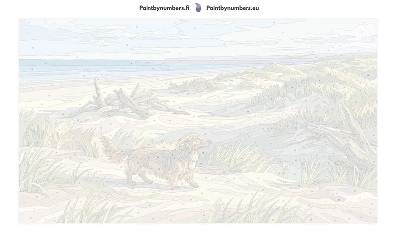 Numeroitu kangas - Dachshund on Beach Dunes 70x40cm