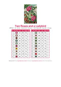 Thumbnail for Two Roses and a Ladybird timanttimaalauksen värikartta – 20 DMC-väriä