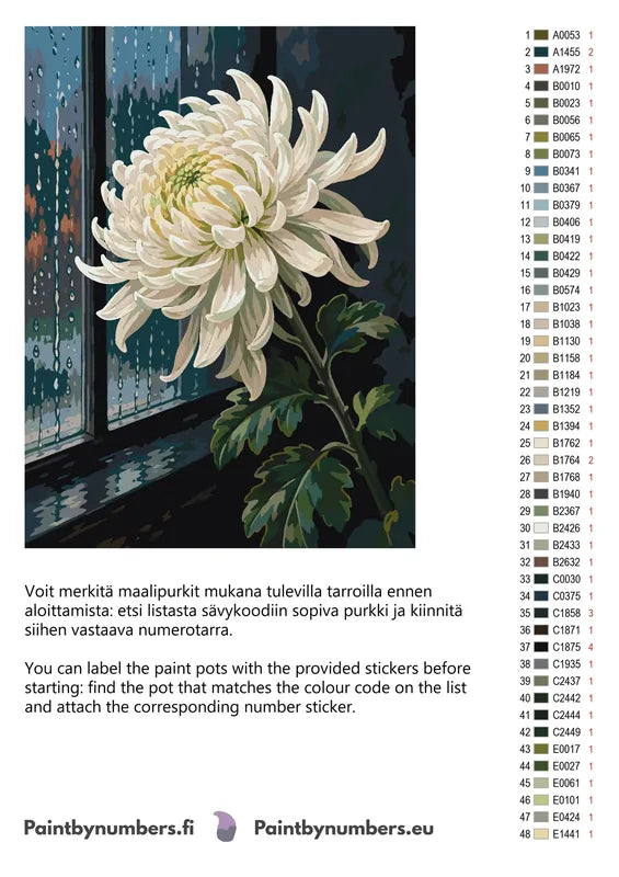 Värikartta ja ohjeet - White Chrysanthemum by Window 60x80cm