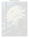 Thumbnail for Numeroitu kangas - White Chrysanthemum by Window 60x80cm
