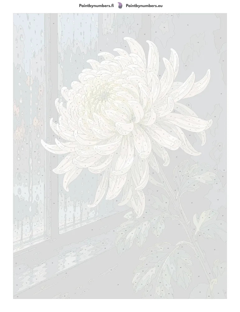Numeroitu kangas - White Chrysanthemum by Window 60x80cm