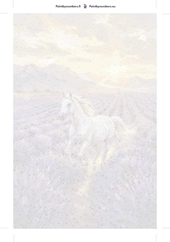 Numeroitu kangas - White Horse in Lavender Field 40x60cm