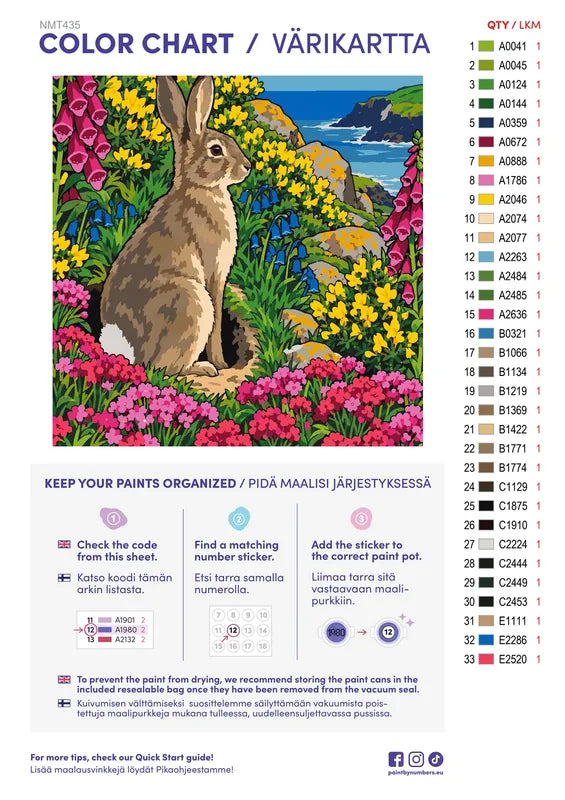 Numeromaalaus: Värikartta ja ohjeet - Wild Rabbit on a Cornish Cliff 50x50cm