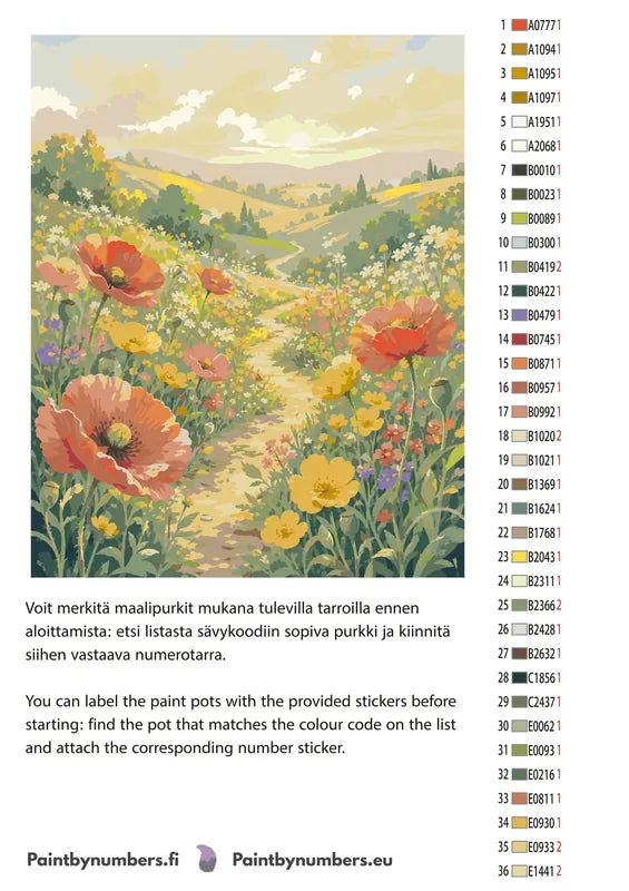 Värikartta ja ohjeet - Wildflower Meadow Path 40x50cm