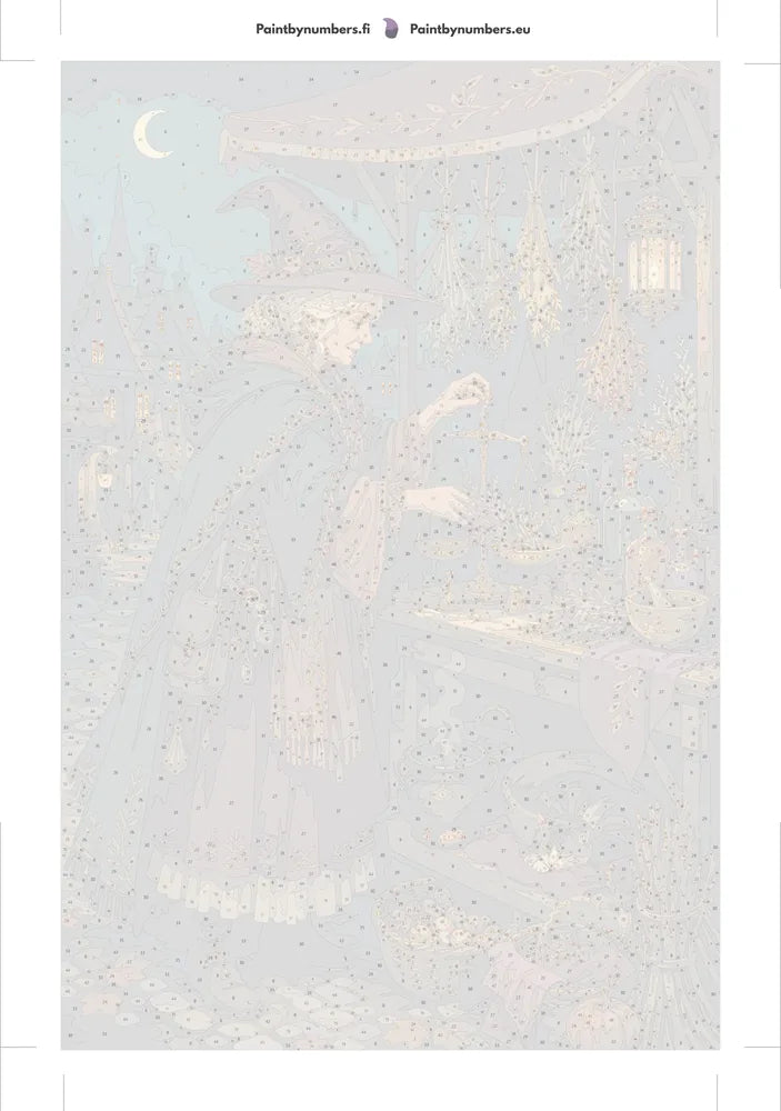 Numeroitu kangas - Witch at Herb Market 40x60cm