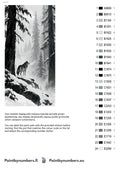 Thumbnail for Numeromaalaus: Värikartta ja ohjeet - Wolf in the Ink Forest 40x80cm