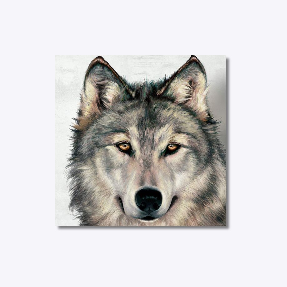 Alpha Wolf 20x20cm - Timanttimaalaus