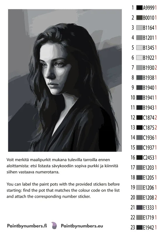 Värikartta ja ohjeet - Woman in Shadow Portrait 40x50cm