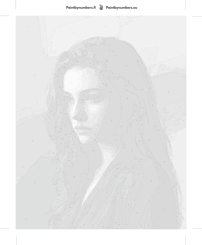 Numeroitu kangas - Woman in Shadow Portrait 40x50cm